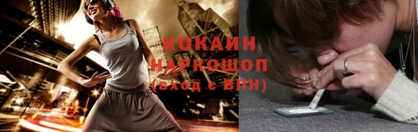 стаф Аркадак