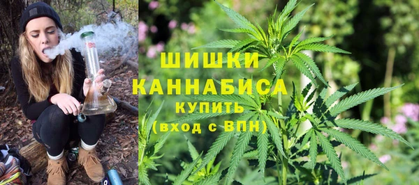 стаф Аркадак