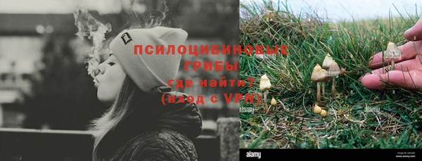 стаф Аркадак