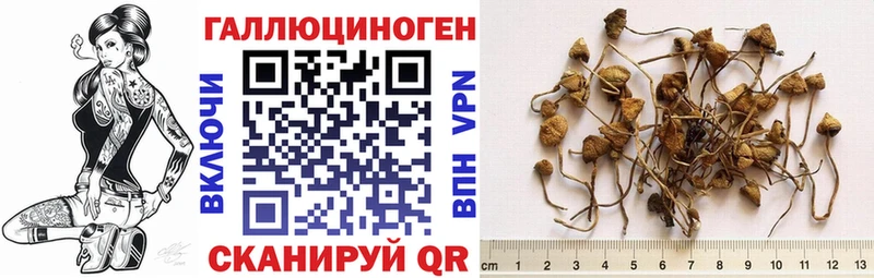 Галлюциногенные грибы прущие грибы  Вилюйск 