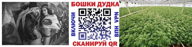 наркошоп  darknet официальный сайт  Канабис Bruce Banner  Вилюйск 